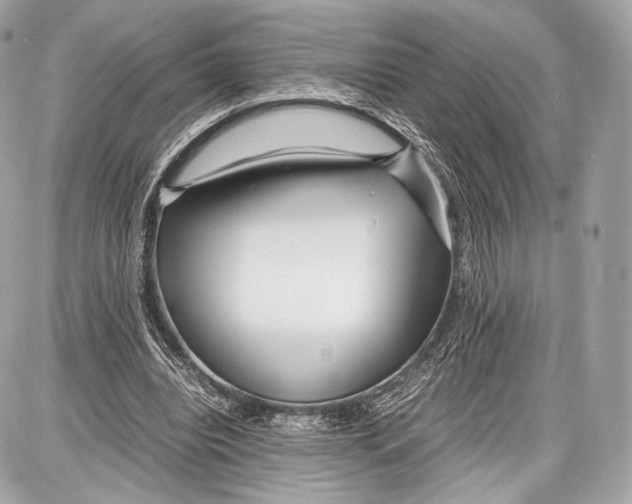 X0000086960440200705141630