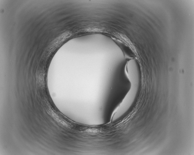 X0000086960441200705141630