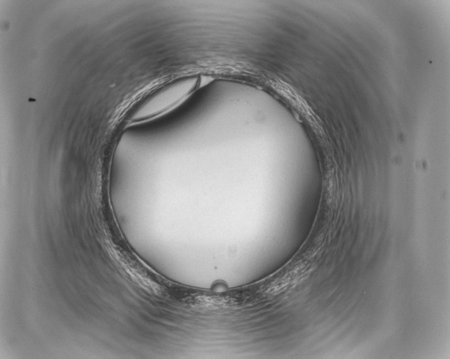 X0000086960442200705141630