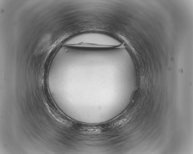 X0000086960443200705141630