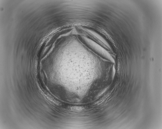 X0000086960444200705141630