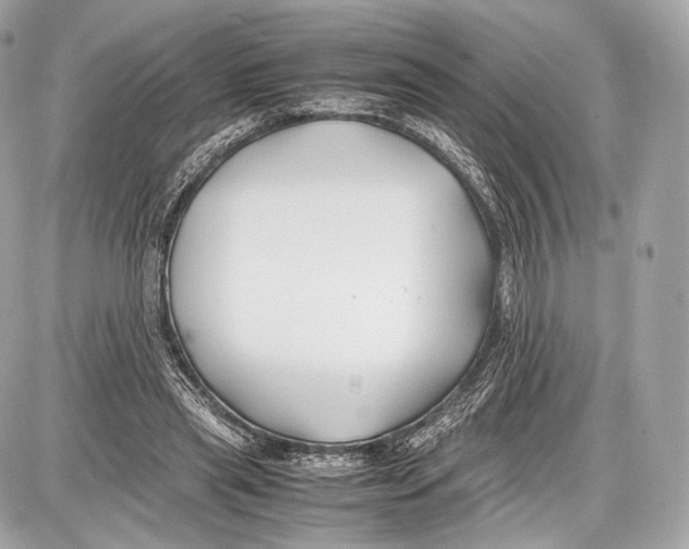 X0000086960445200705141630