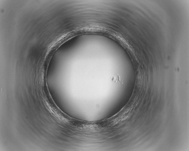 X0000086960446200705141630