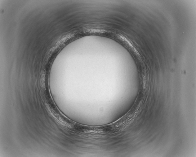 X0000086960447200705141630