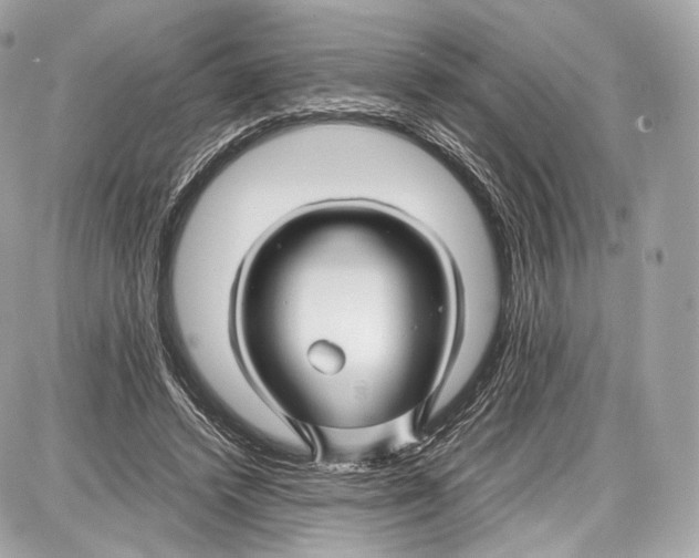 X0000086960448200705141630