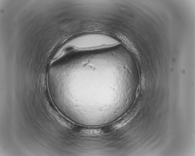 X0000086960449200705141630