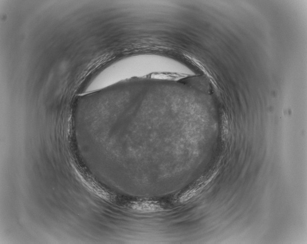 X0000086960451200705141630