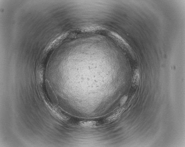 X0000086960452200705141630