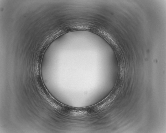 X0000086960453200705141630