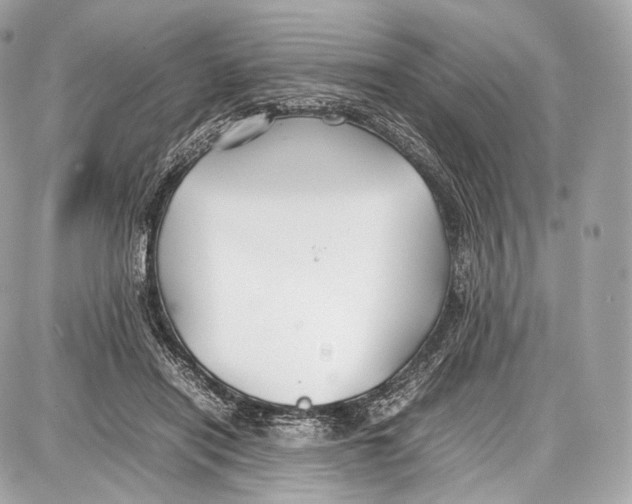 X0000086960454200705141630