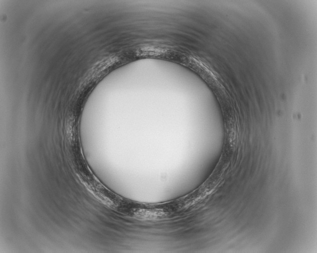 X0000086960455200705141630