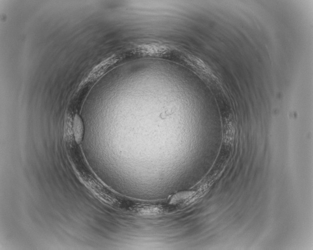 X0000086960456200705141630