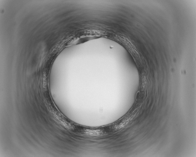 X0000086960457200705141630