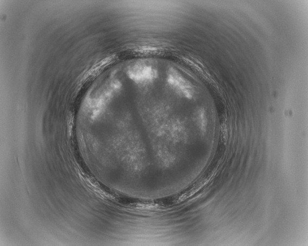 X0000086960458200705141630