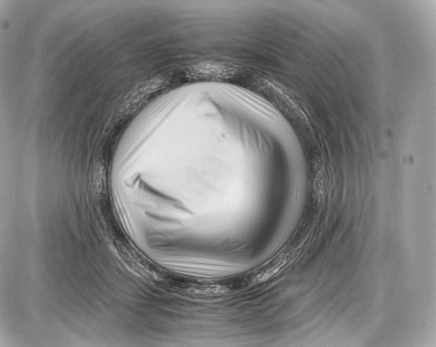 X0000086960459200705141630