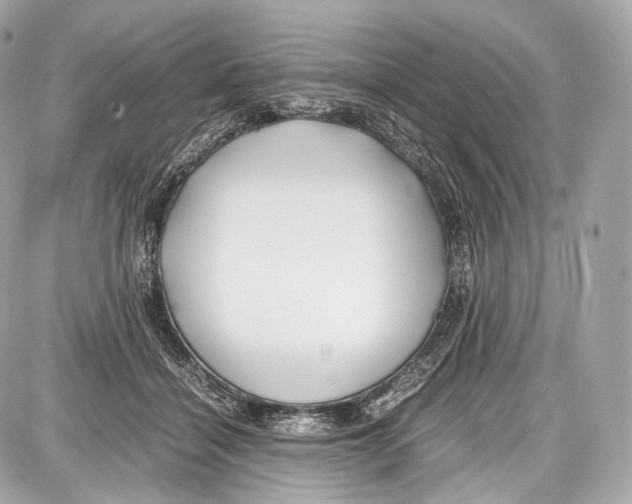 X0000086960460200705141630