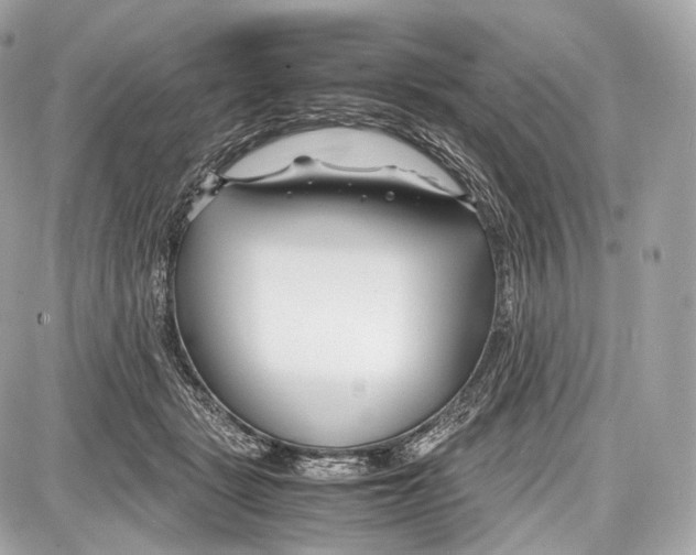 X0000086960461200705141630