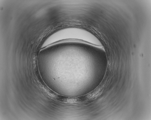 X0000086960462200705141630