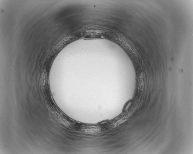 X0000086960463200705141630