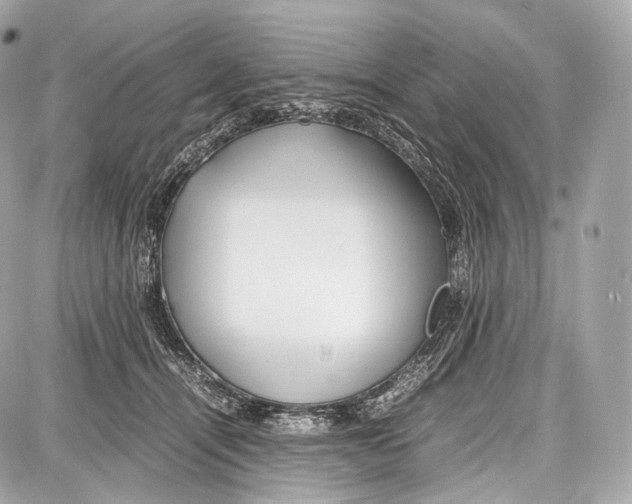 X0000086960464200705141630