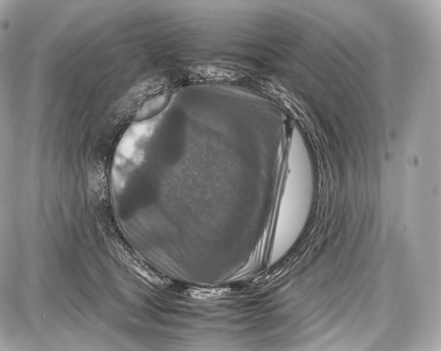 X0000086960465200705141630