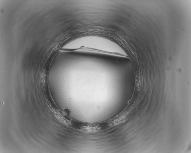 X0000086960466200705141630