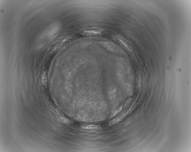 X0000086960467200705141630