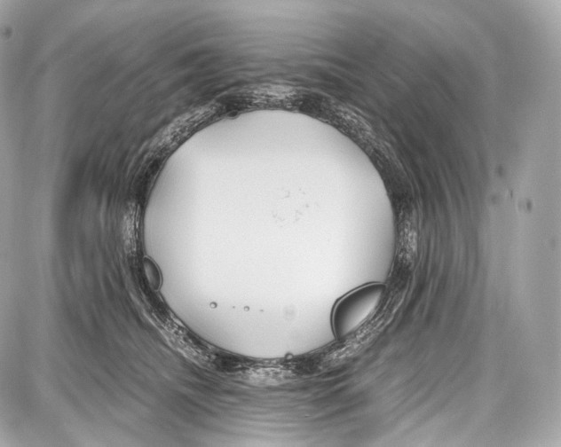 X0000086960468200705141630