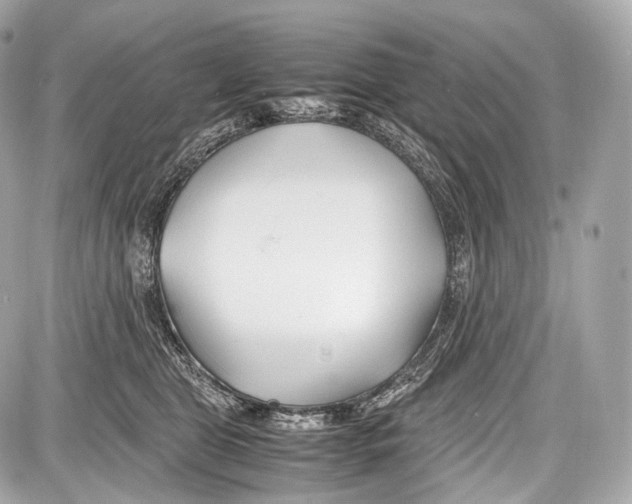 X0000086960469200705141630