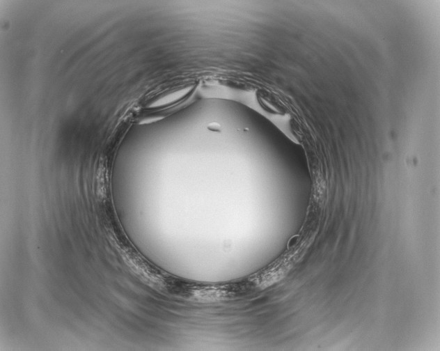 X0000086960470200705141630