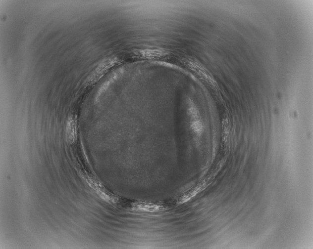 X0000086960471200705141630