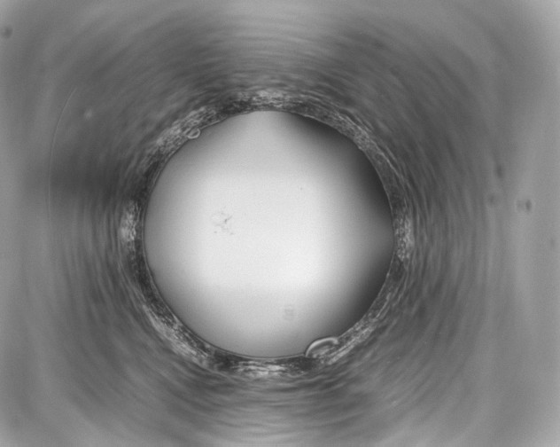 X0000086960472200705141630