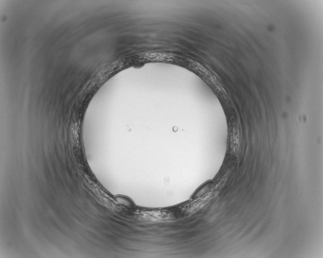 X0000086960473200705141630