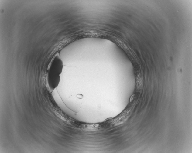 X0000086960474200705141630