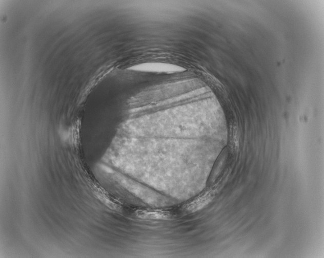 X0000086960475200705141630