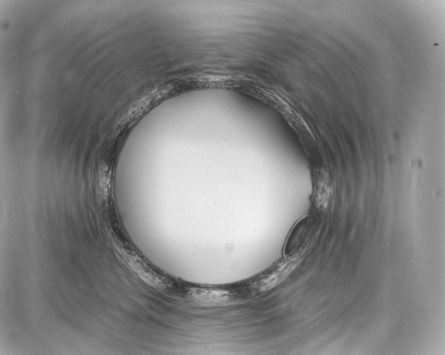 X0000086960476200705141630