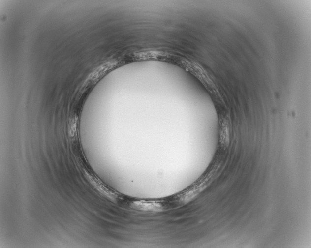 X0000086960477200705141630