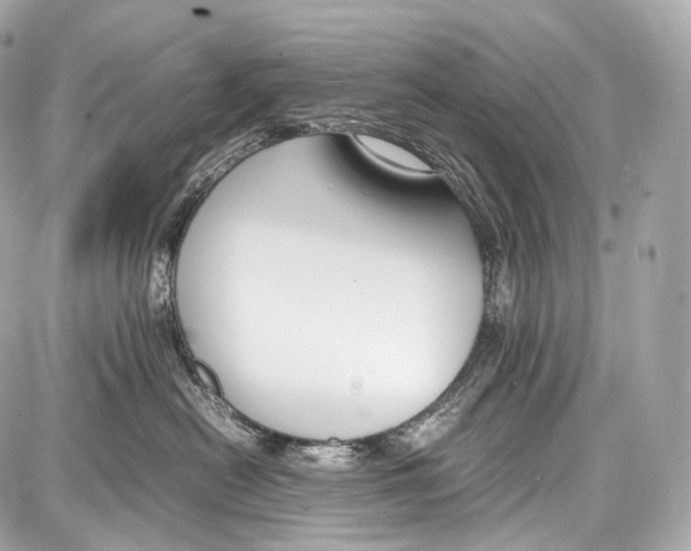 X0000086960478200705141630