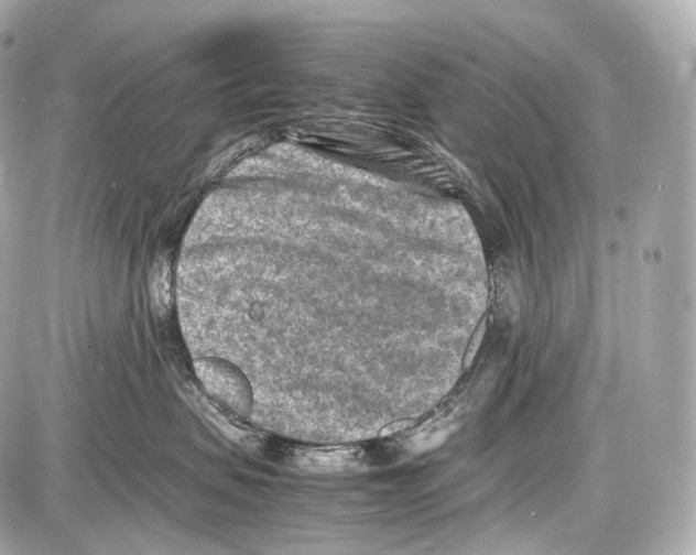 X0000086960479200705141630