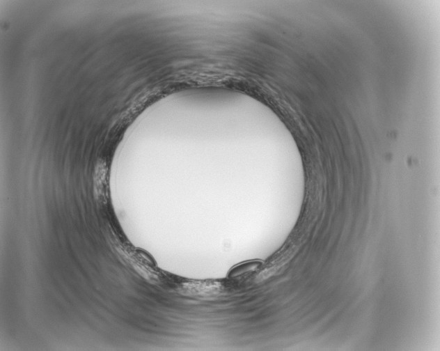 X0000086960480200705141630