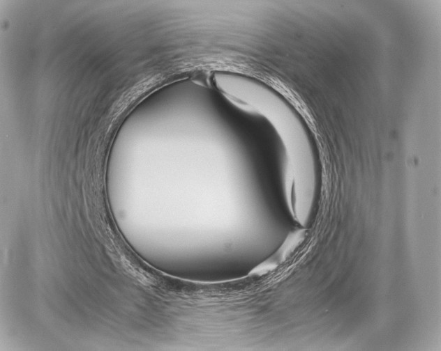 X0000086960481200705141630