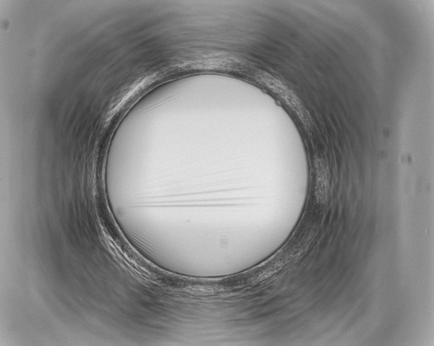 X0000086960482200705141630