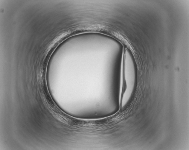 X0000086960483200705141629