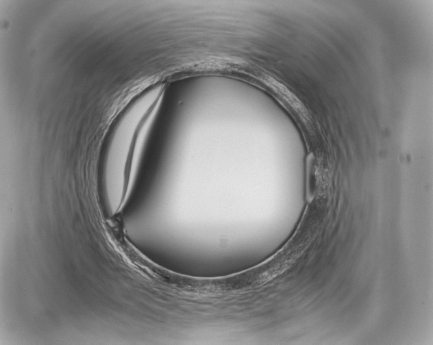 X0000086960485200705141629