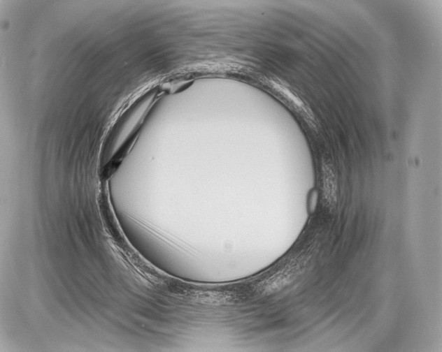 X0000086960486200705141629