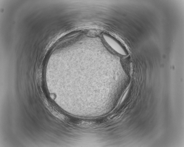 X0000086960487200705141629