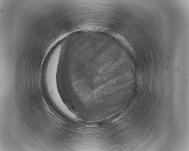 X0000086960488200705141629