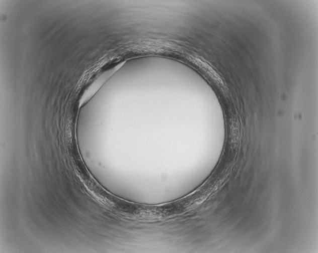 X0000086960489200705141629