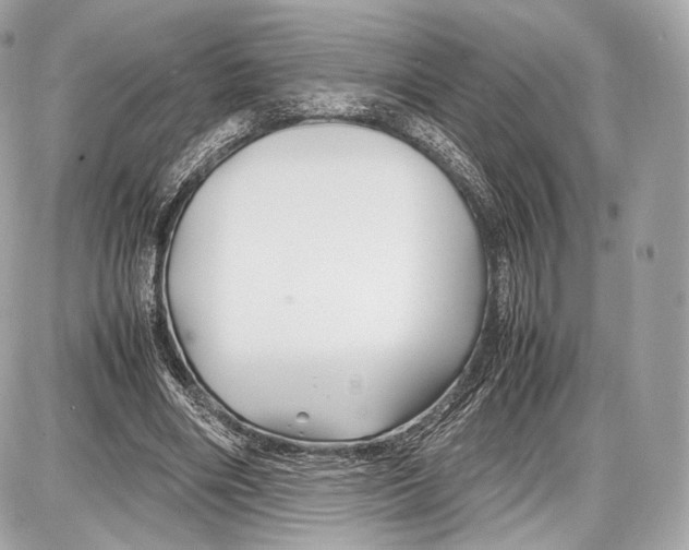 X0000086960490200705141629