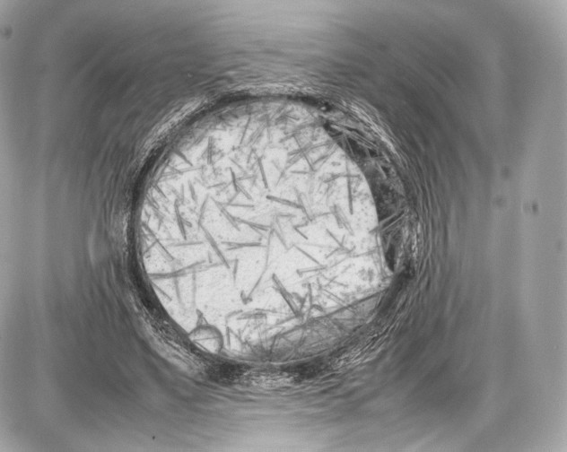 X0000086960491200705141629